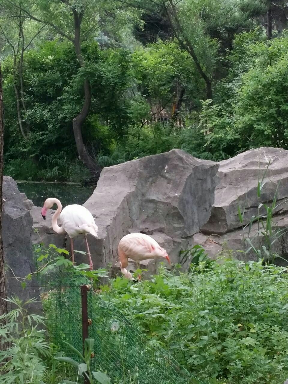 铁山公园动物园图片