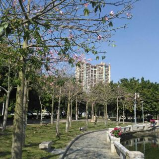 嘉兴公园