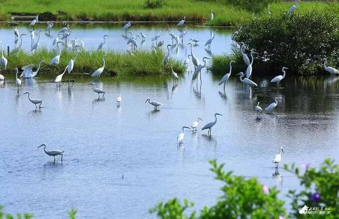 100i0n000000e07rhE6A0_R_671_10000_Q90.jpg?proc=autoorient