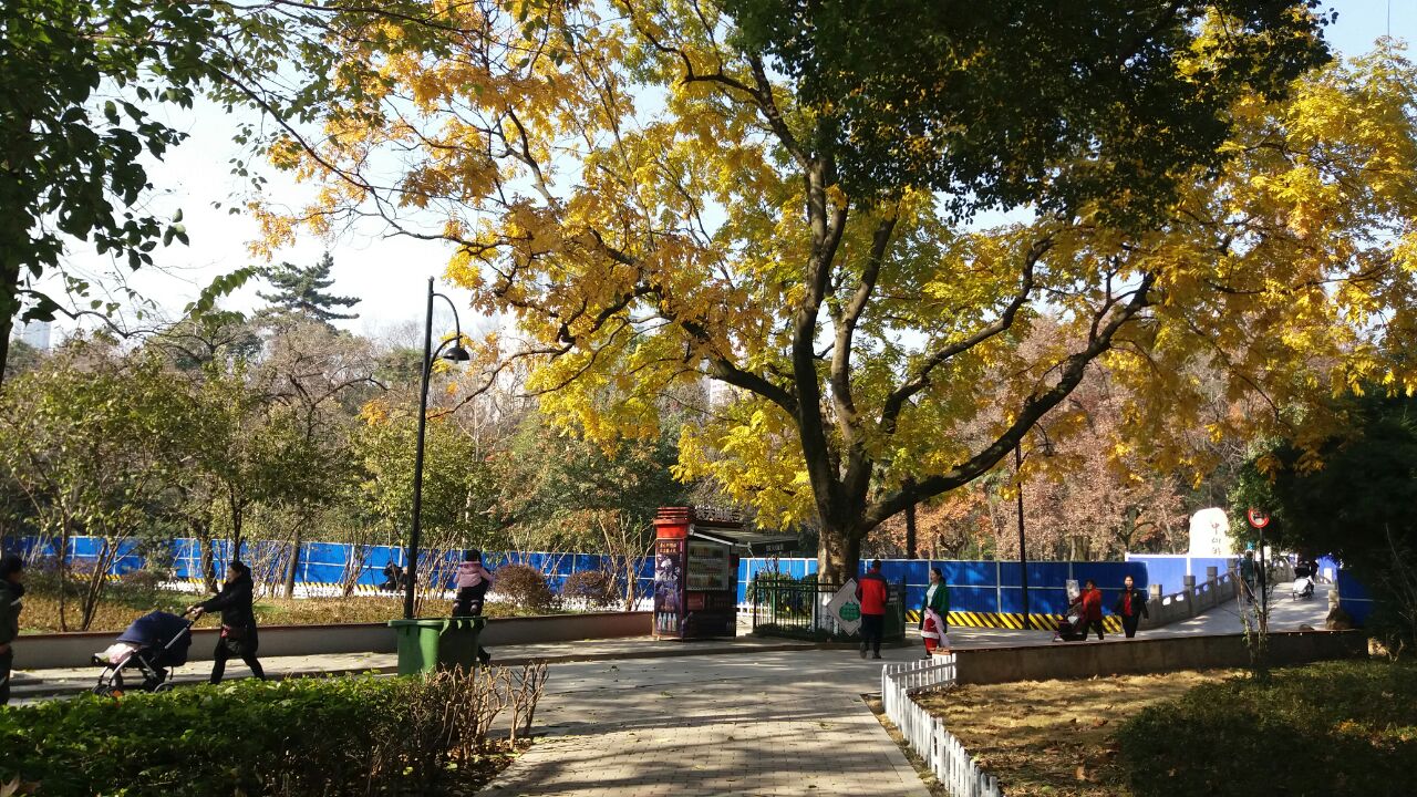 中山公園