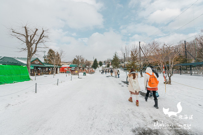 雍容makiori 北海道 这个冬天你的城市下雪吗 函馆游记攻略 携程攻略