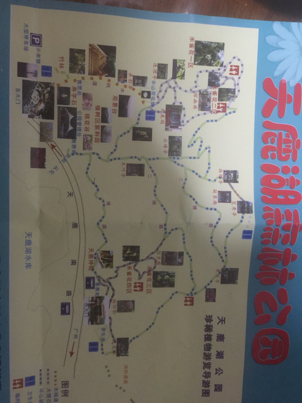 天鹿湖森林公园