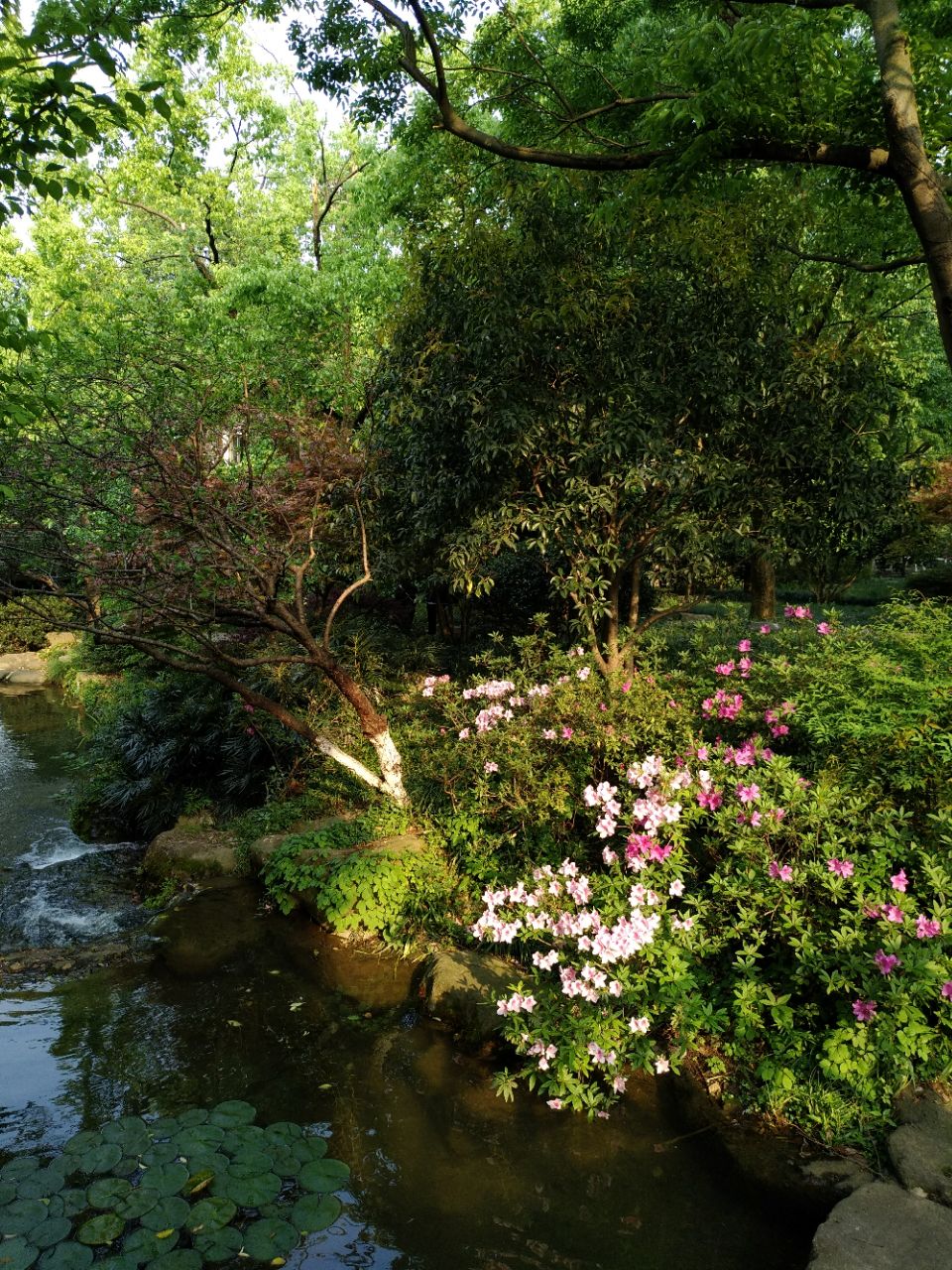 天溪园生态教育中心