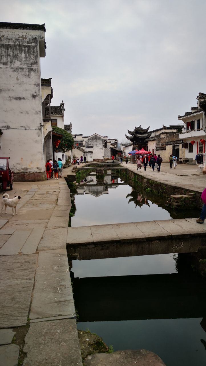 2019唐模_旅遊攻略_門票_地址_遊記點評,黃山旅遊景點推薦 - 去哪兒