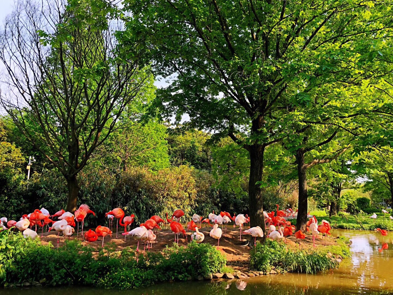 【往返巴士】新加坡河川生态园(含门票车费)(4大园促销)