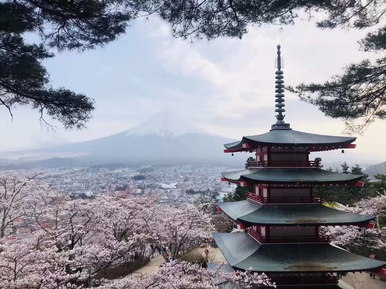 富士山须山浅间神社图片