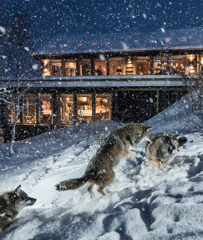 极夜的世界真的伸手不见五指吗?