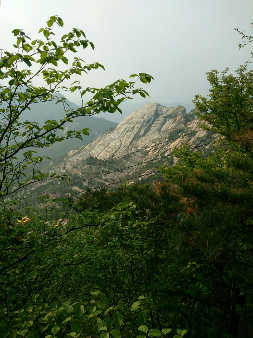 景區內基本都是自然風景,玻璃椹橋驚心動魄,大佛也很震憾!