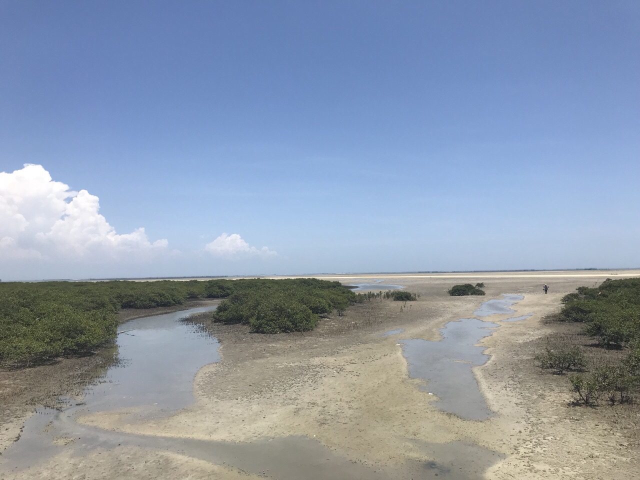 北海金海灣紅樹林生態旅遊區