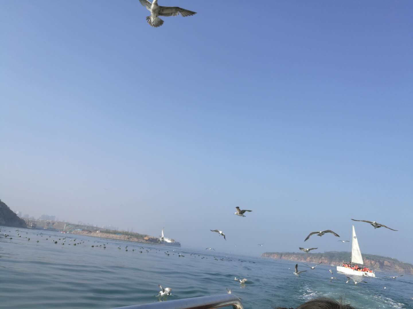 旅順軍港 旅順潛艇博物館 黃渤海分界線 白玉山景區 日俄監獄舊址博物