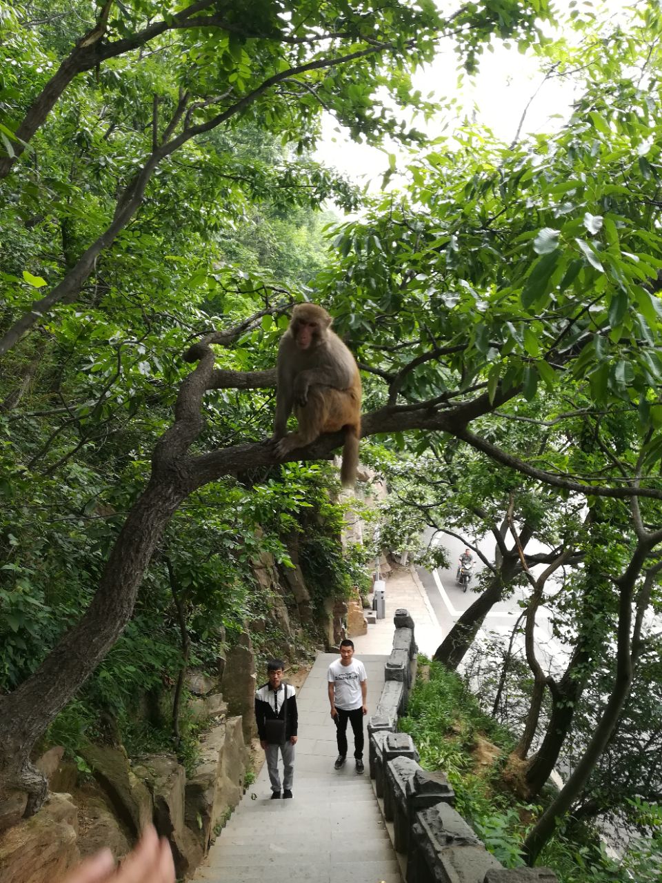 【攜程攻略】連雲港花果山景點,花果山,江蘇省第一高山,山上風景不錯