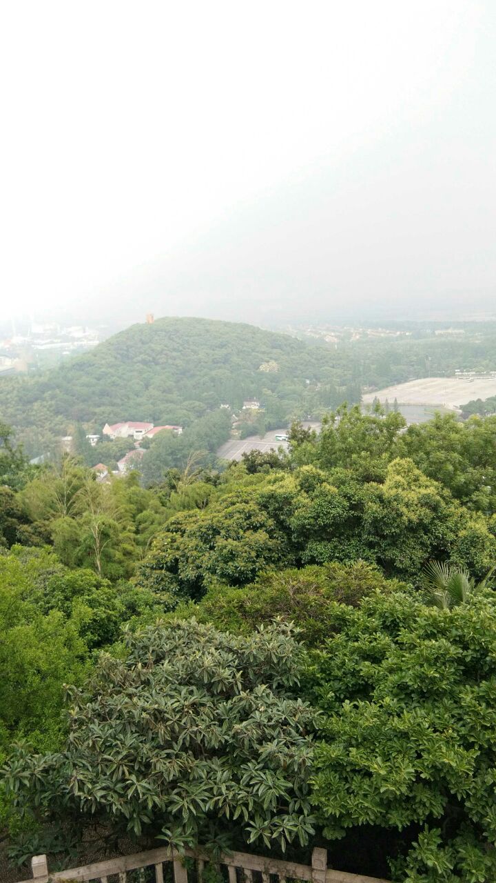 佘山國家森林公園