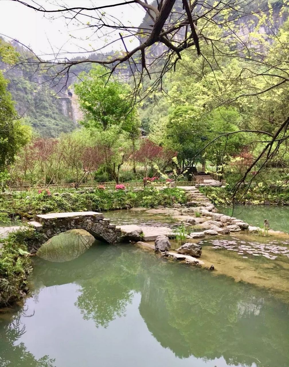 酉陽桃花源旅遊景點攻略圖