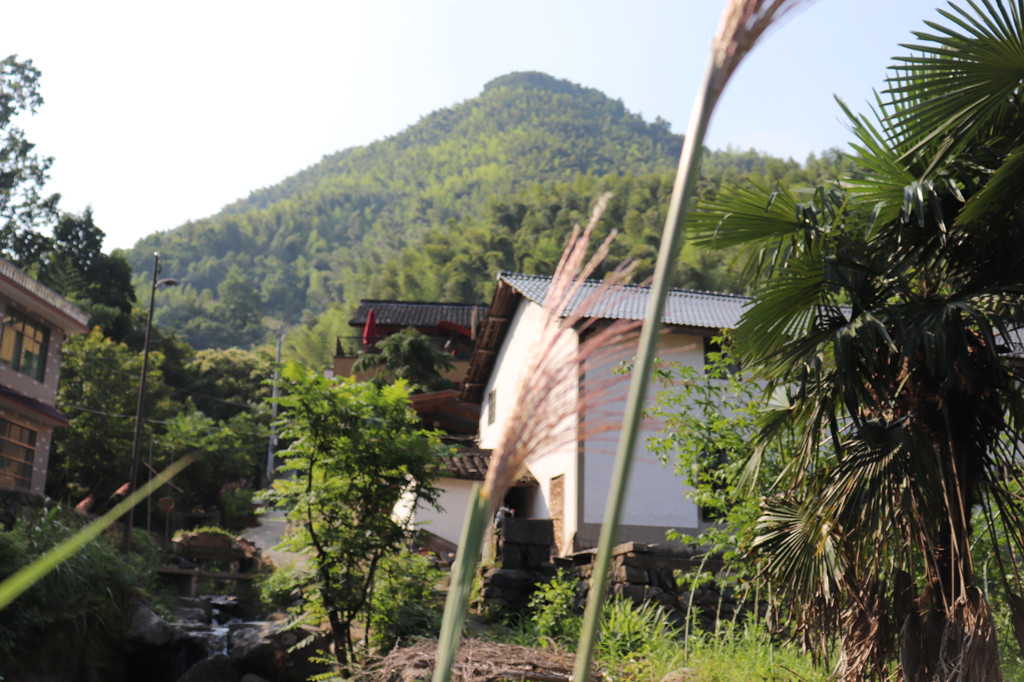 [空谷清音]18.6桐廬秘境山鄉生活 虎嘯峽 嚮往的生活 3日悠閒遊