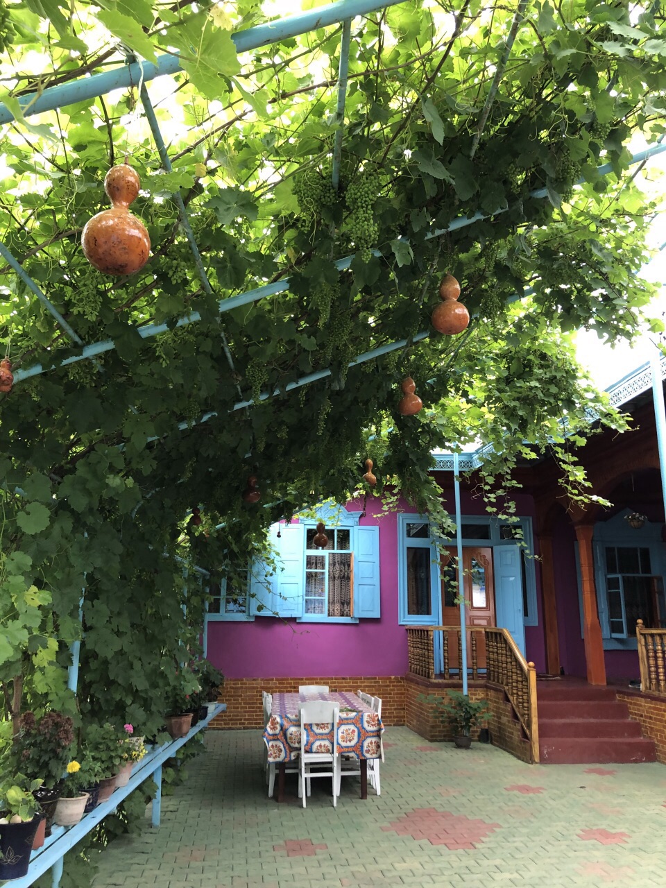 伊宁市喀赞其民俗村好玩吗,伊宁市喀赞其民俗村景点怎么样_点评_评价