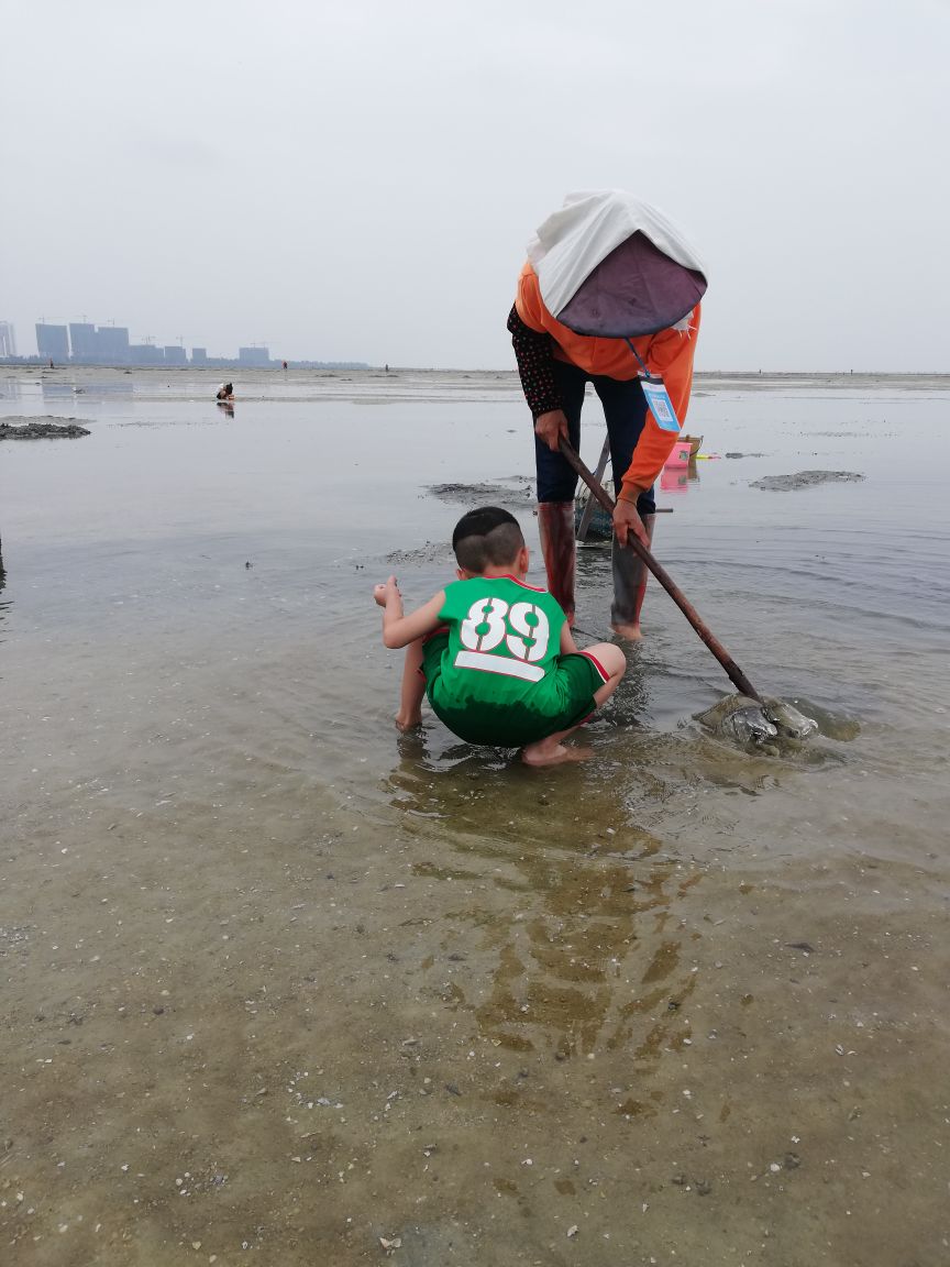 北海紅樹林天天趕海好玩嗎,北海紅樹林天天趕海景點怎麼樣_點評_評價