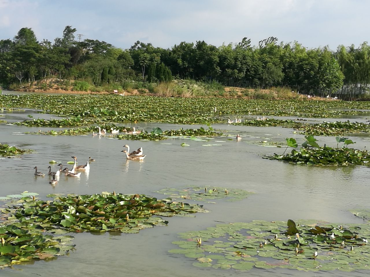 科学网—游双龙湖湿地 - 孔令国的博文