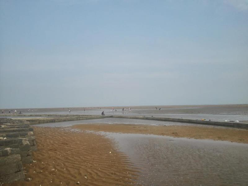 2023刘家湾赶海园游玩攻略,小孩子玩的很开心,就是休息.