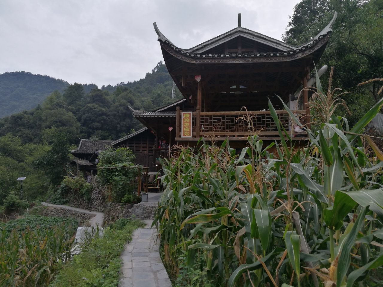 借母溪国家级自然保护区旅游景点攻略图