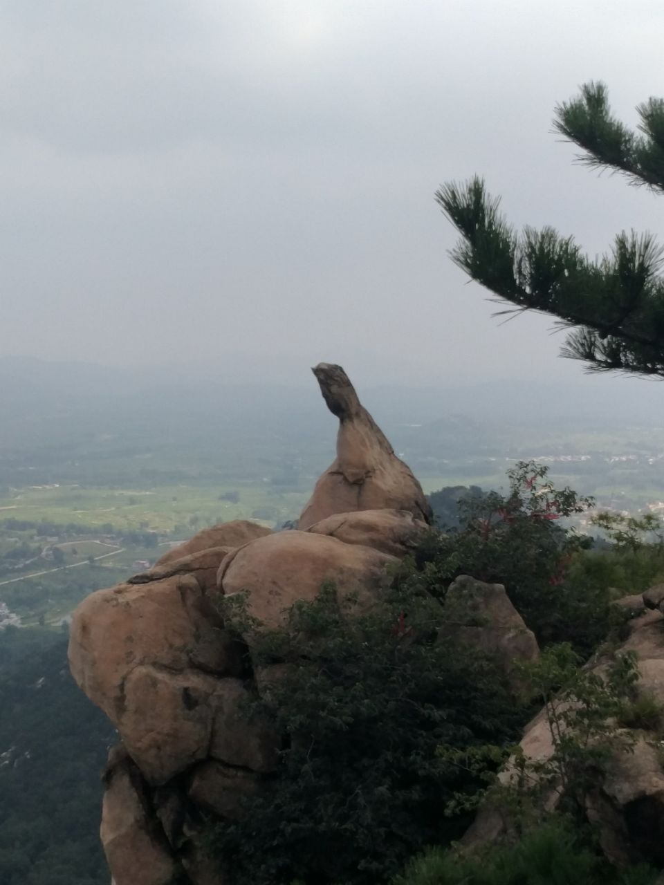新泰莲花山