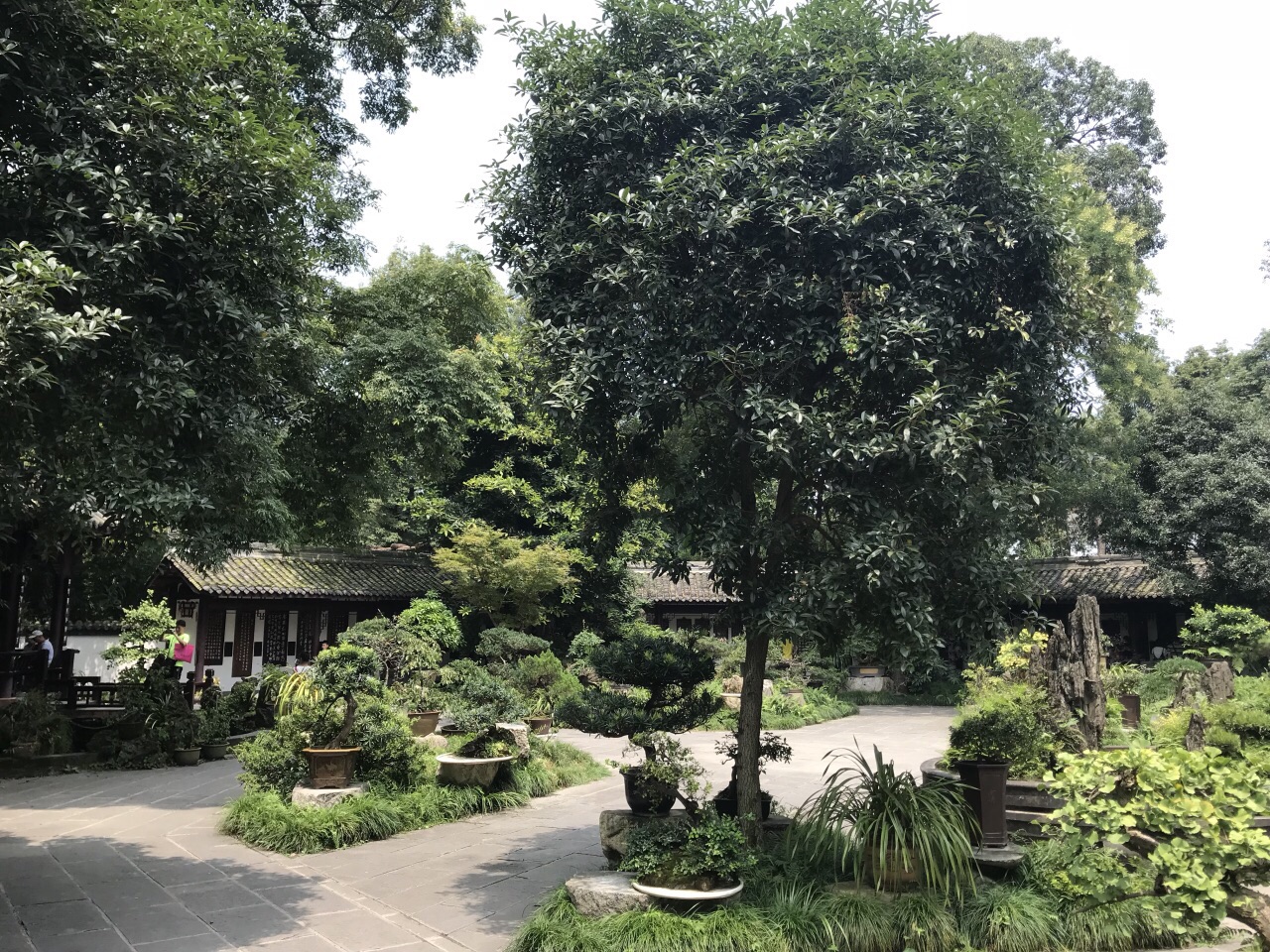 杜甫草堂博物館環境清幽,裡面有草堂,唐代遺址,浣花祠,千詩碑,萬福樓