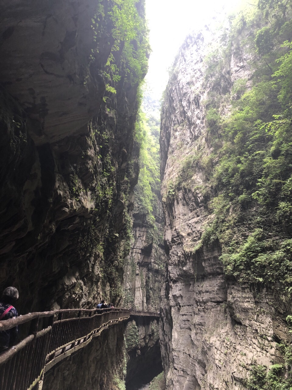 2020武陵山大裂谷-旅遊攻略-門票-地址-問答-遊記點評,涪陵旅遊旅遊