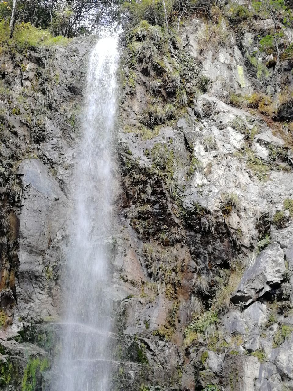 2019二郎山喇叭河風景區_旅遊攻略_門票_地址_遊記點評,天全旅遊景點