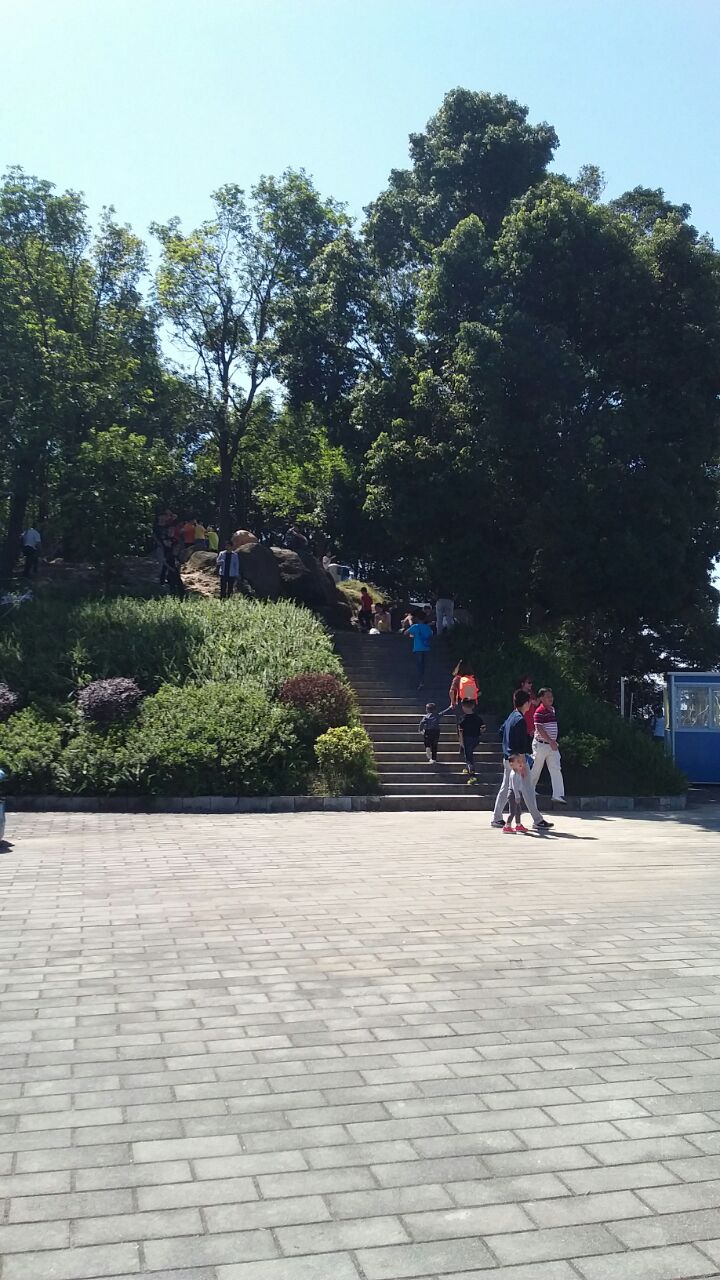 山顶景区-帽峰山森林公园