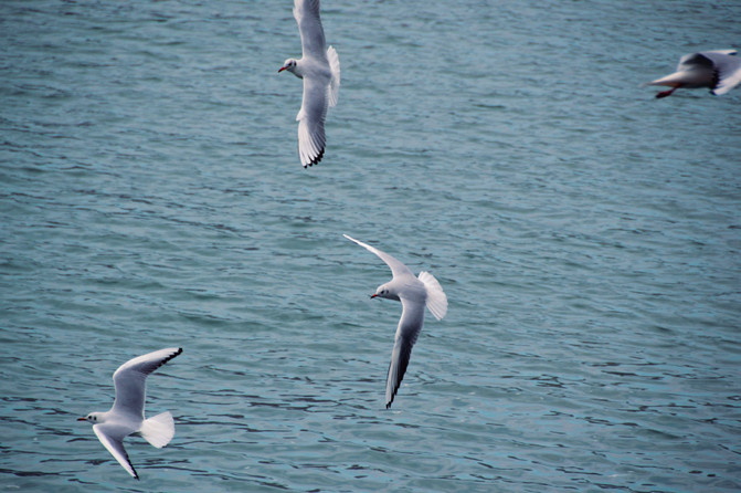 100i0y000000lw5dr3396_R_671_10000_Q90.jpg?proc=autoorient