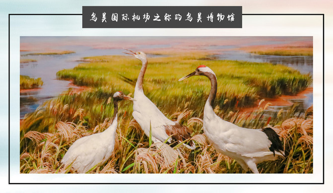 奔流水什么的成语_滚滚奔流的长江水图片(3)