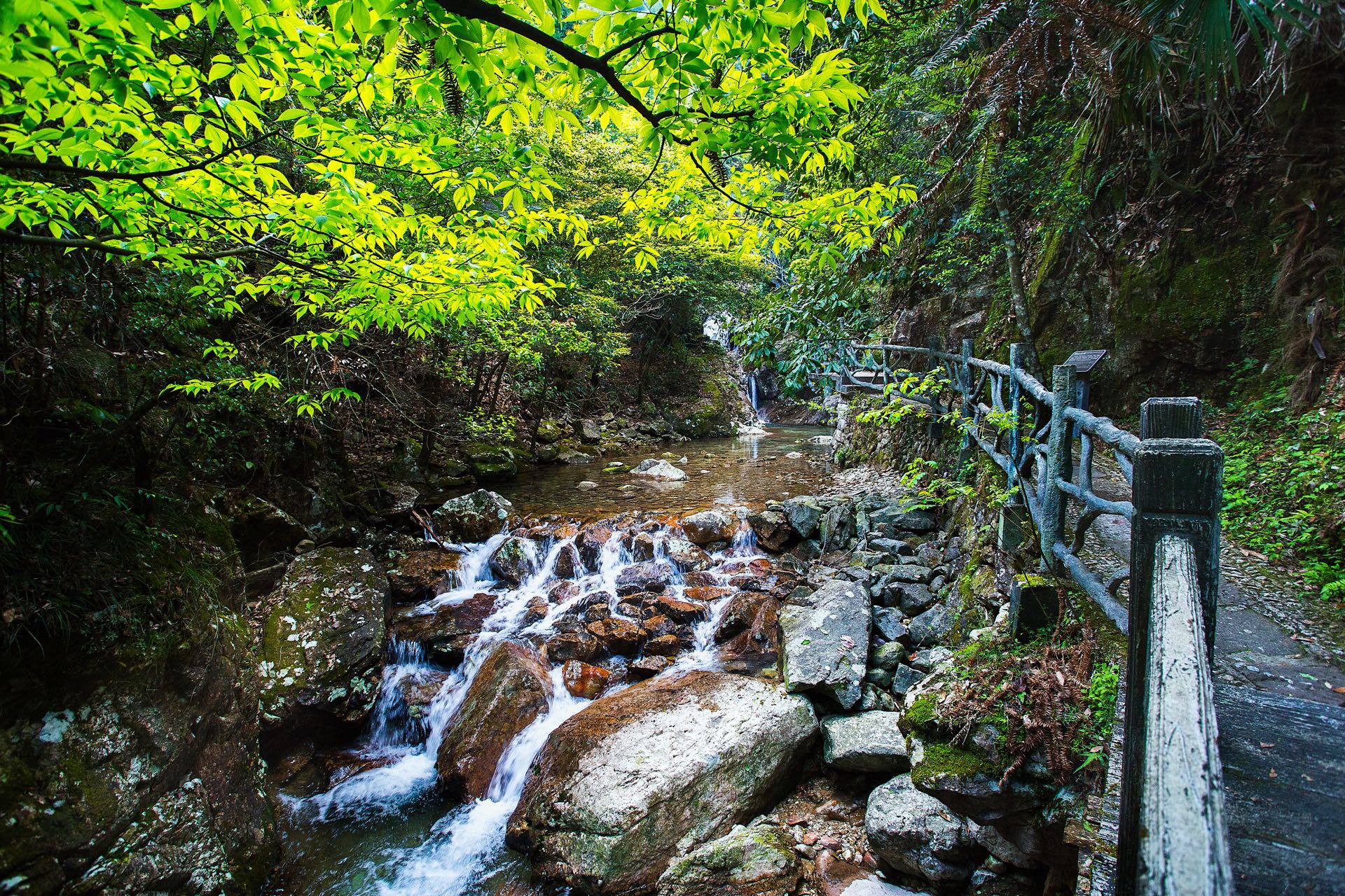 松阳箬寮原始林好玩吗,松阳箬寮原始林景点怎么样_点评_评价【携程