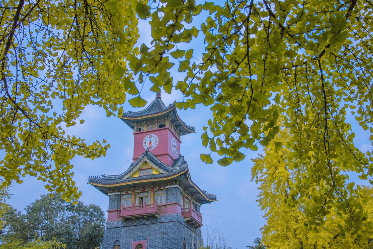 【携程攻略】成都四川大学华西青羊校区景点,夏天时曾经来过川大,看到