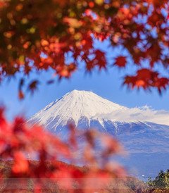 [静冈游记图片] 北纬35° 静冈 富士山 感受日本活力之旅（滨松、清水、修善寺、东海道深度行）