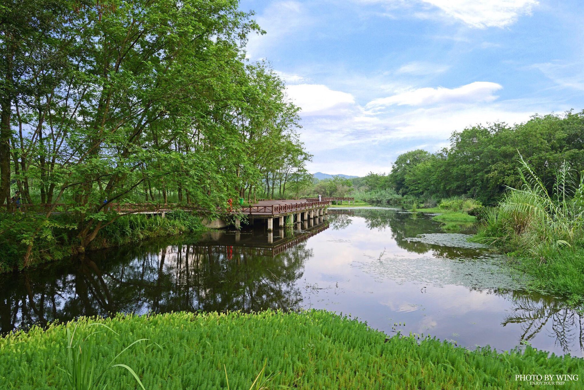 丽水九龙国家湿地公园图片