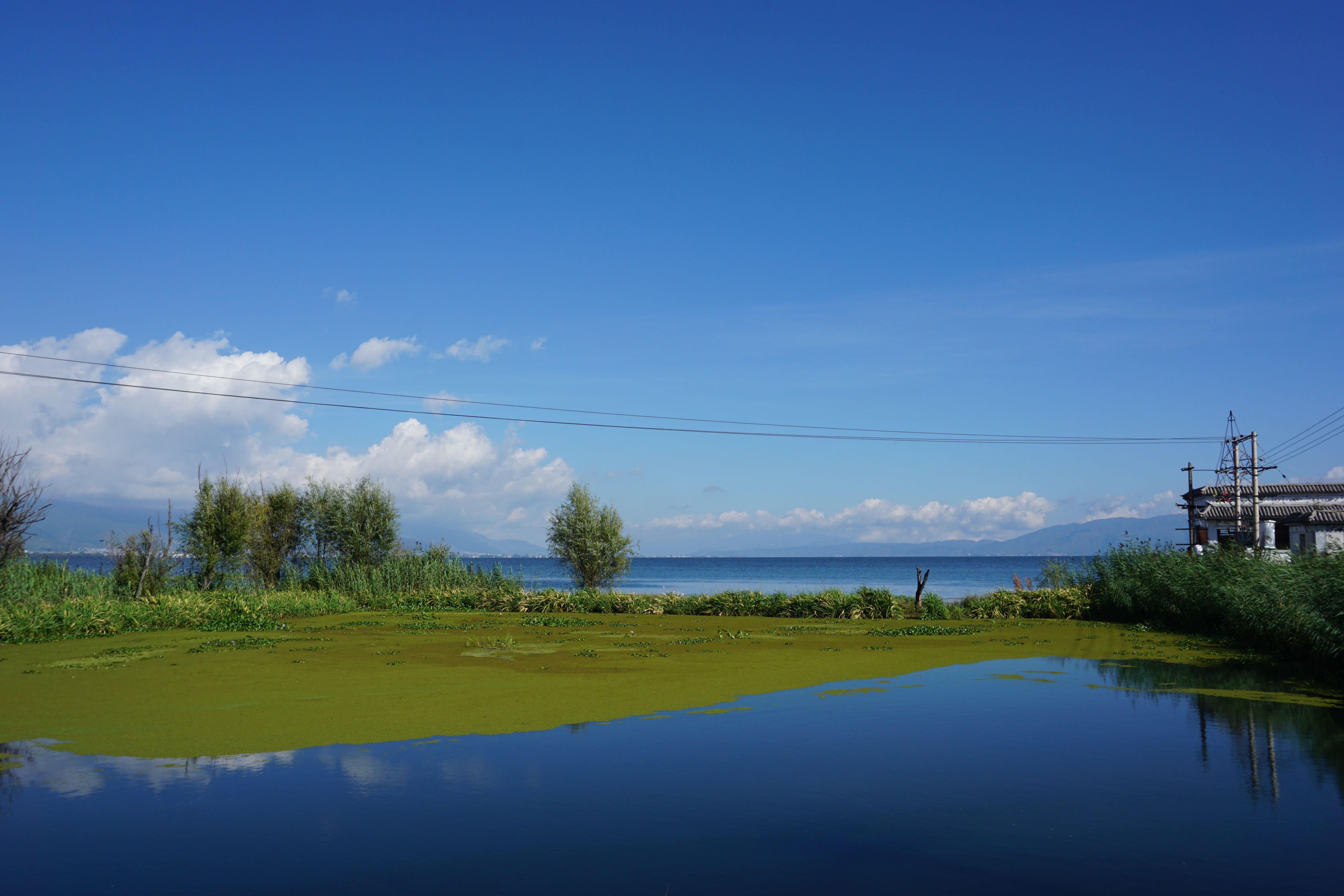 2019洱海_旅游攻略_门票_地址_游记点评,大理旅游景点推荐 - 去哪儿