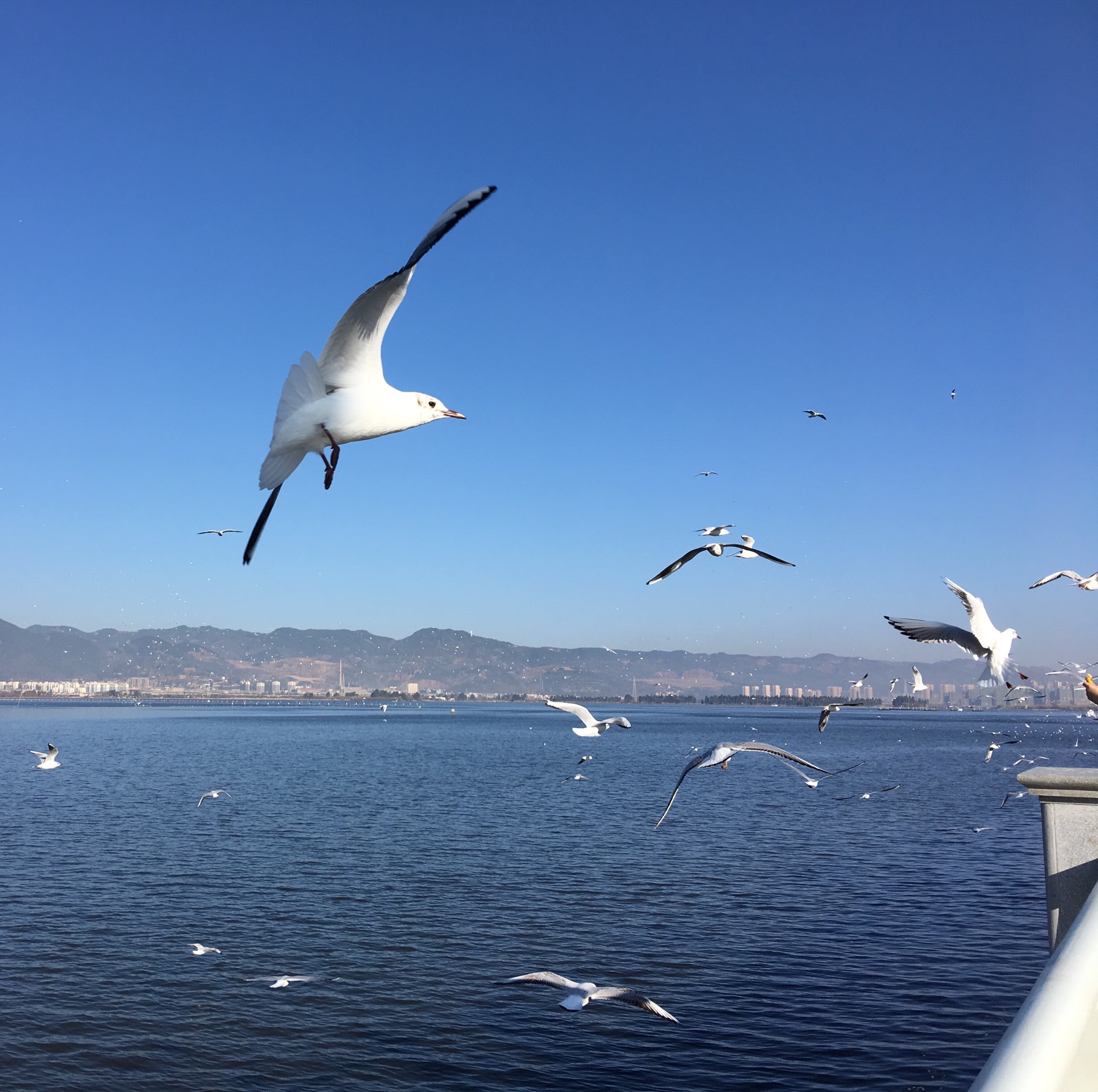 昆明滇池西山索道好玩吗,昆明滇池西山索道景点怎么样_点评_评价