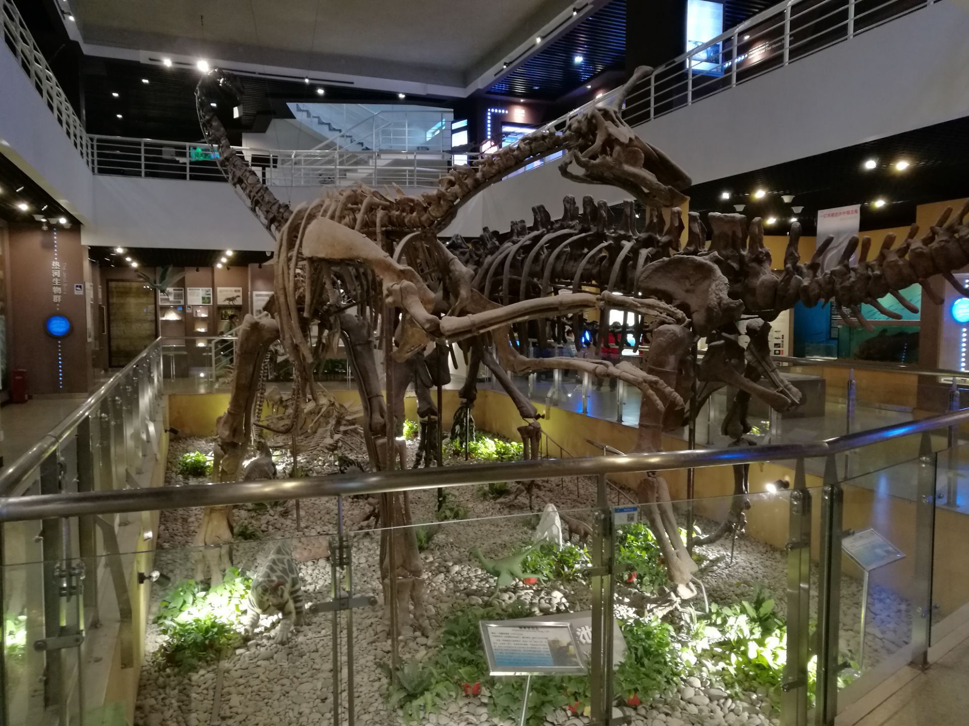 中国古动物馆旅游景点攻略图