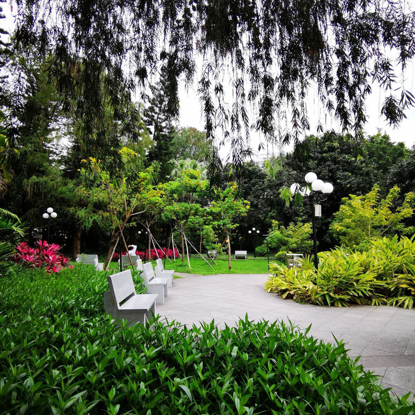 【携程攻略】广州东风公园景点,东风公园是平时散步的好去处,公园面积