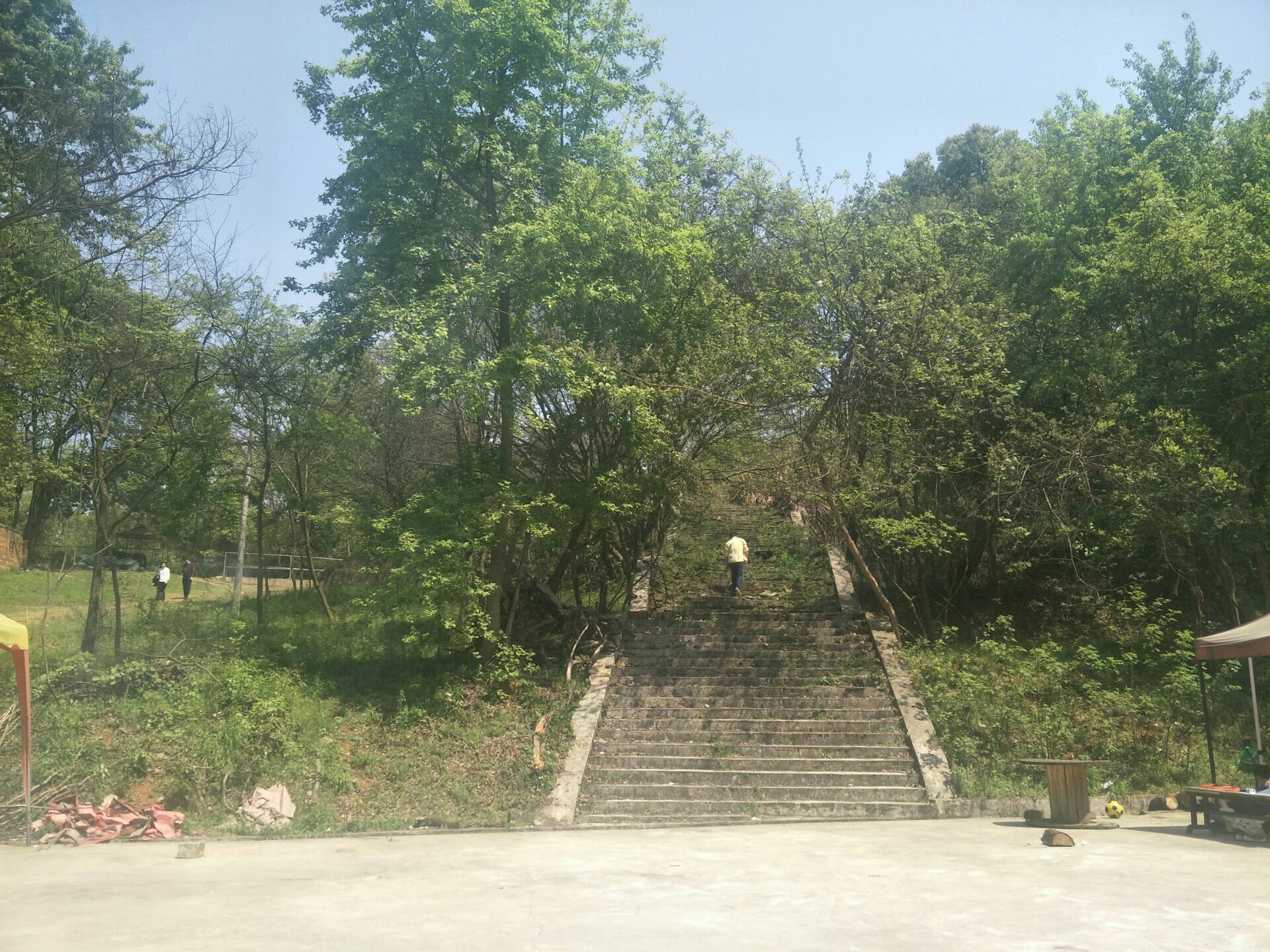 青龍山森林公園