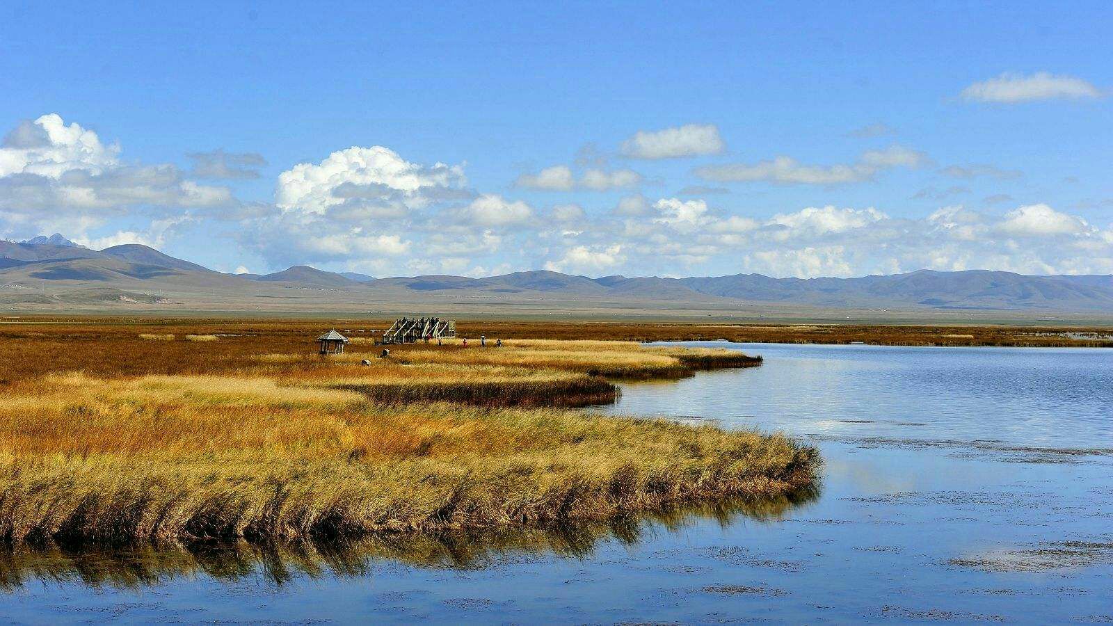 红原若尔盖草原什么时候去最美-若尔盖红原最佳旅游时间-西行川藏