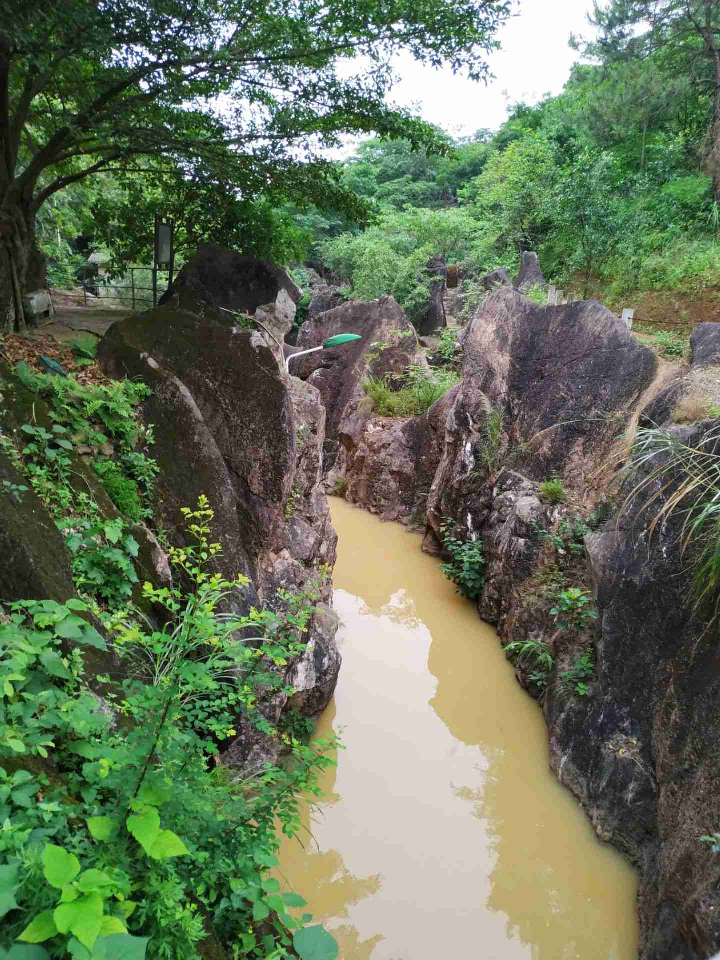 雲浮大雲霧山旅遊區好玩嗎,雲浮大雲霧山旅遊區景點怎麼樣_點評_評價