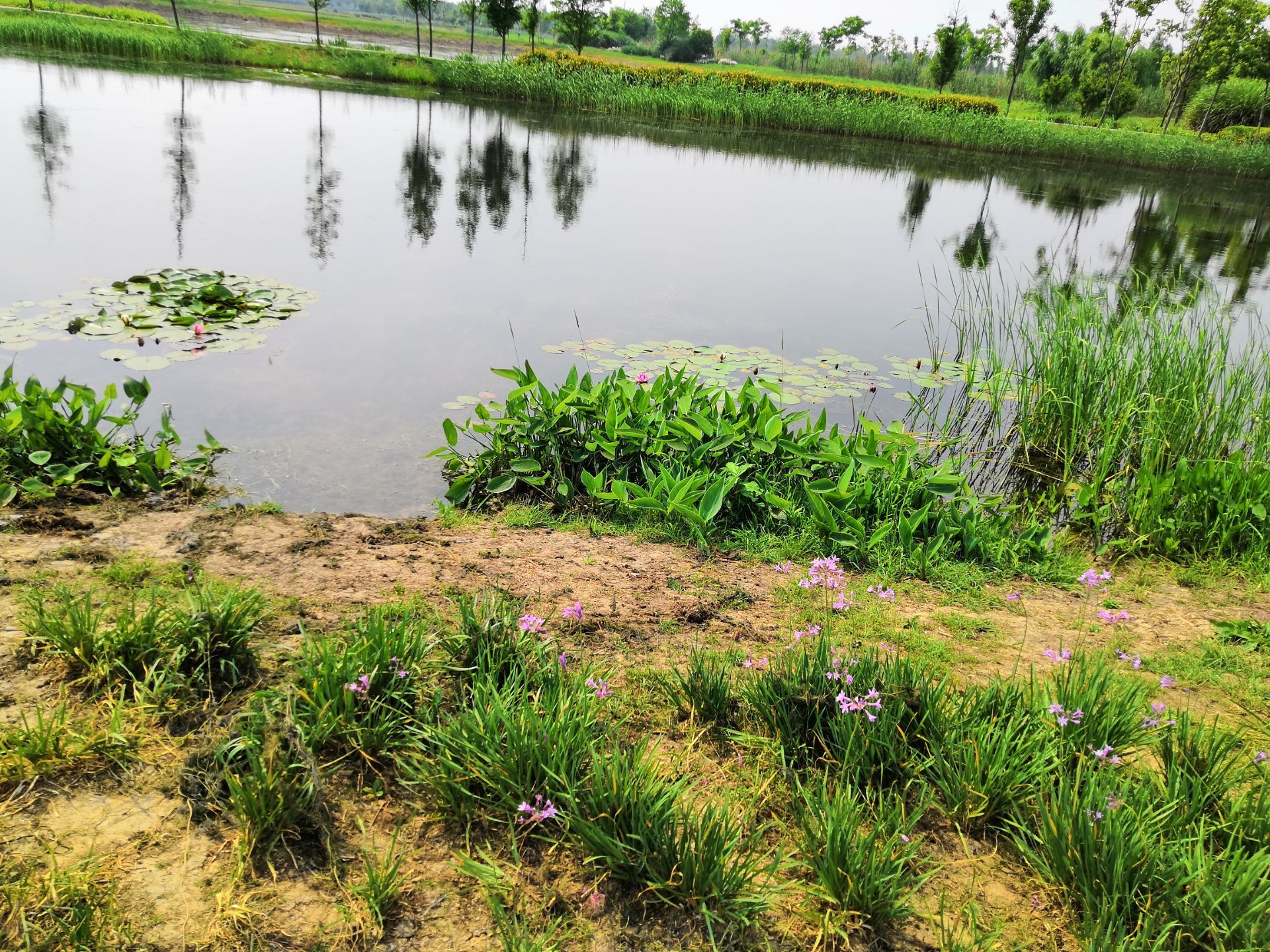 胡子缘生态景观庄园