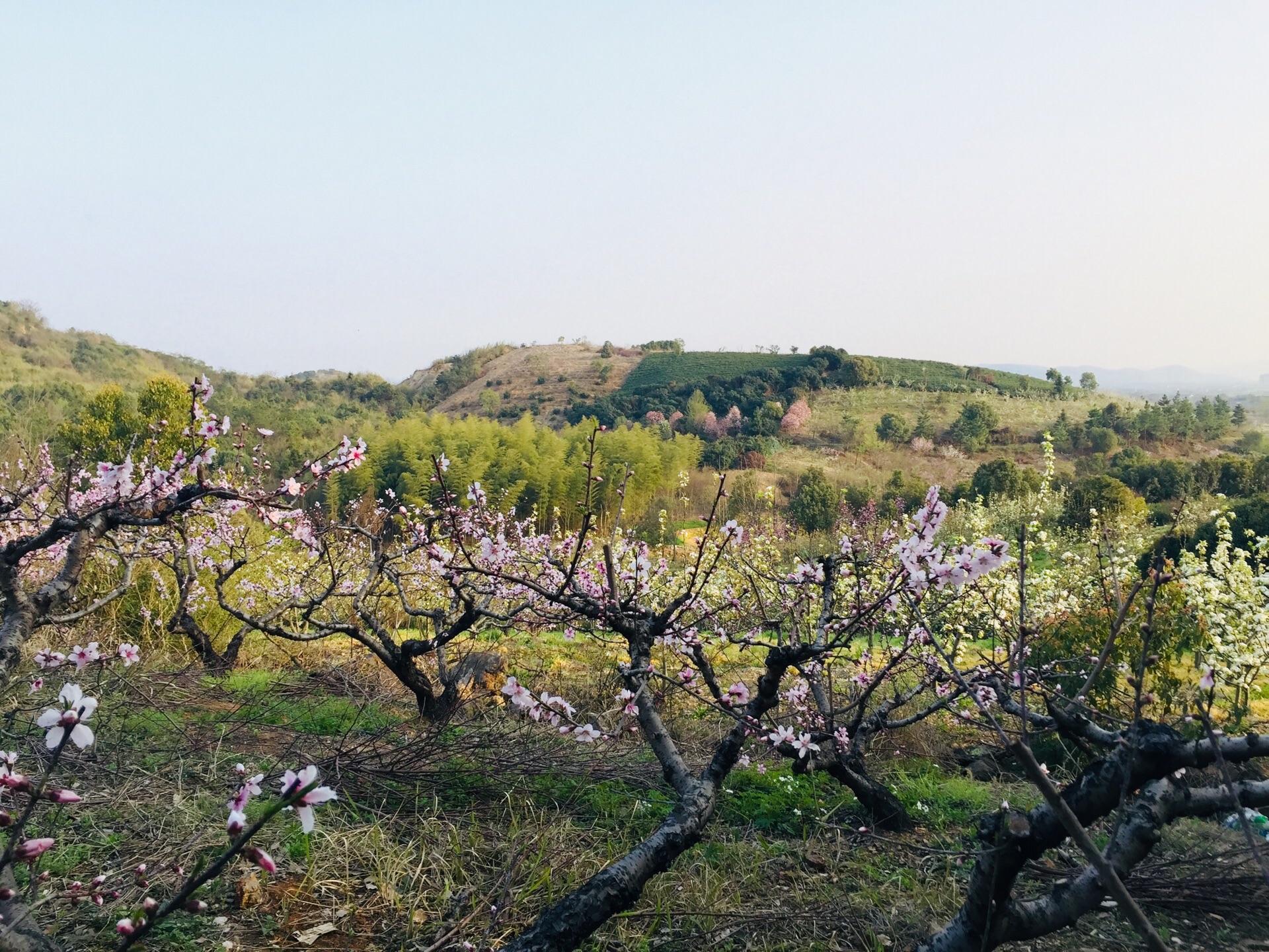 金云庄生态休闲度假园