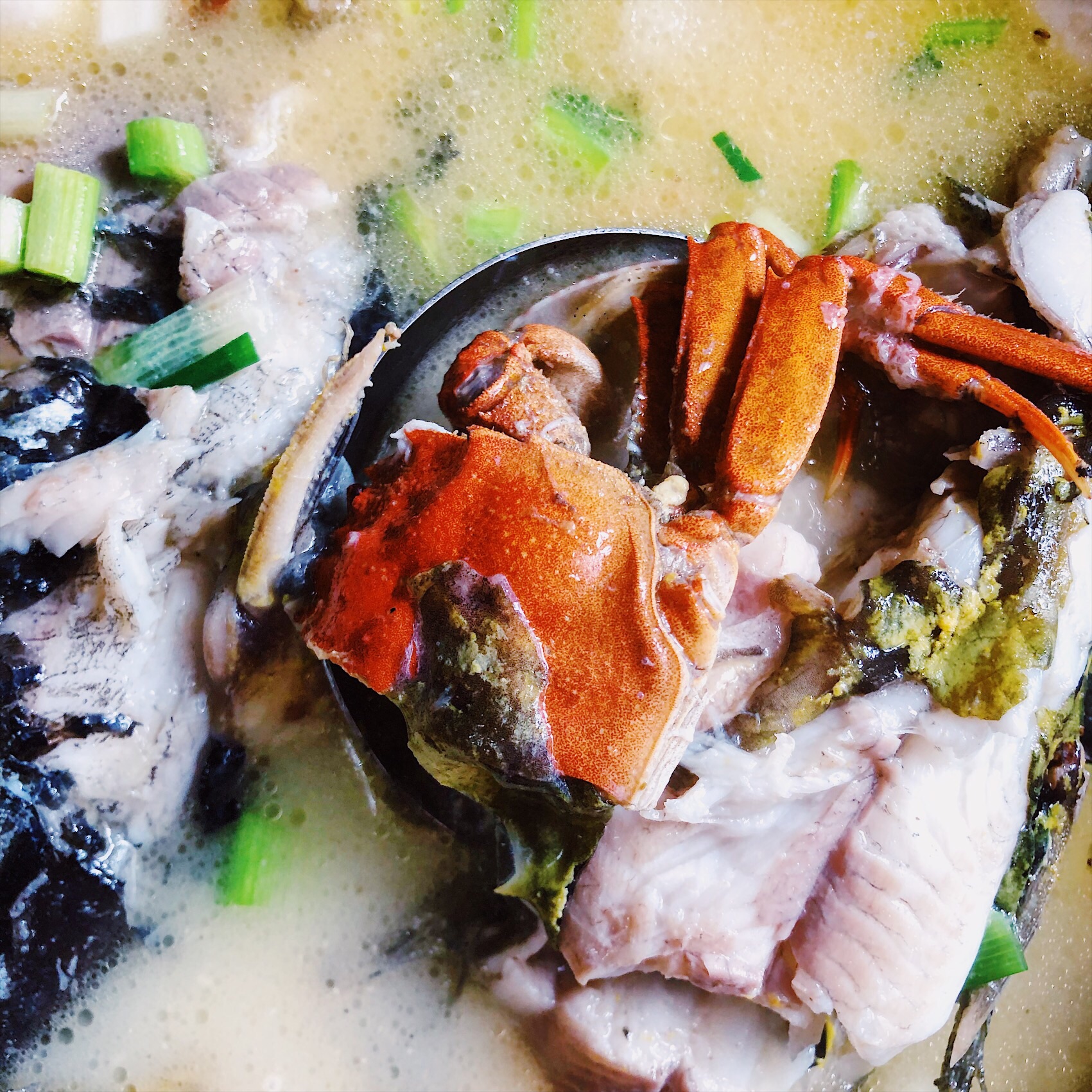 太湖一锅鲜是原汁原味营养丰盛的聚宝盆汤底很鲜一时忍不住多喝几碗将