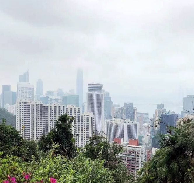 司徒拔道观景台