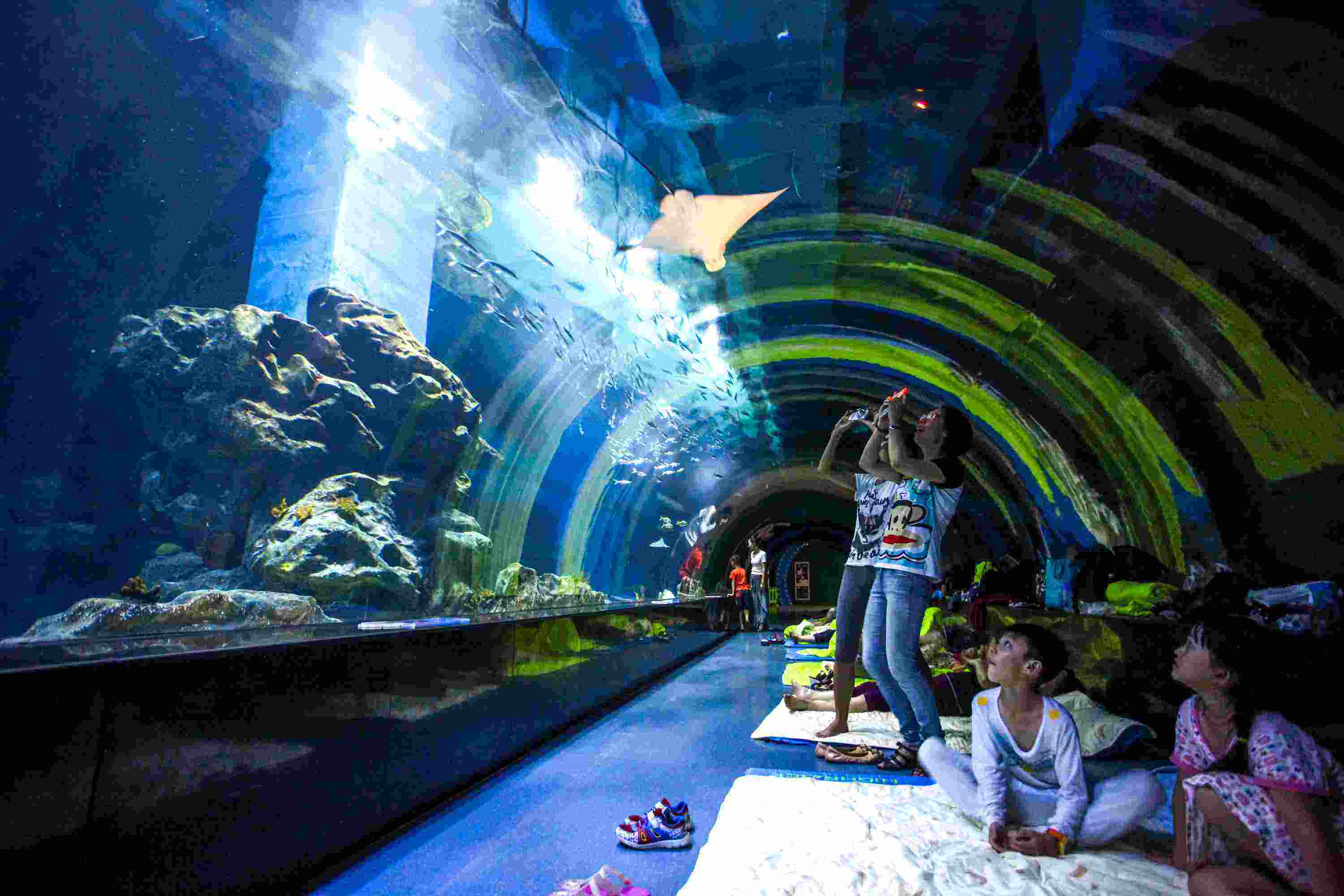 上海海洋水族馆