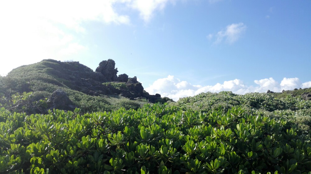 2022龙坑生态保护区游玩攻略,到了台风季节,这边会吹起很.