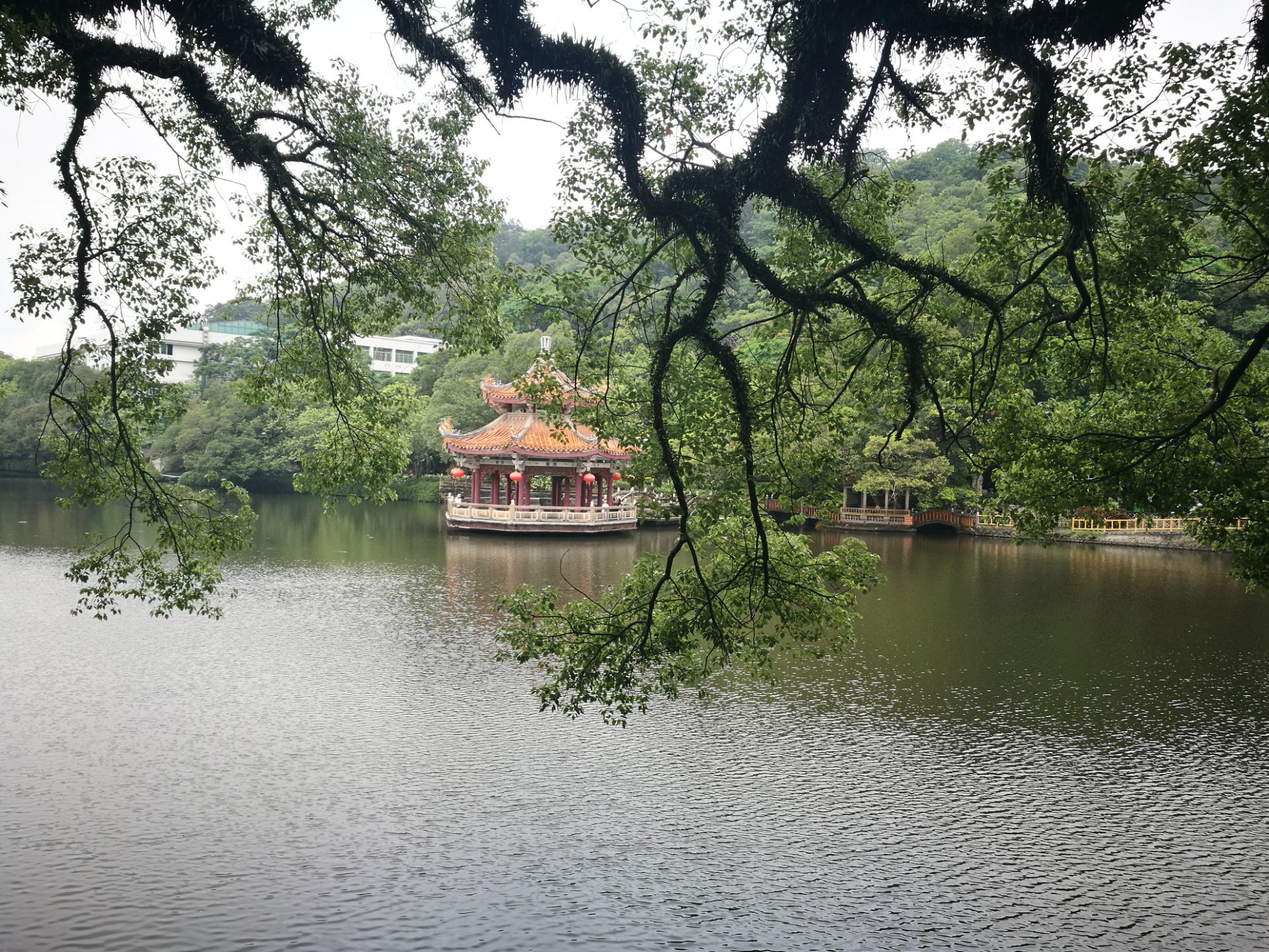 长沙西湖公园-中关村在线摄影论坛