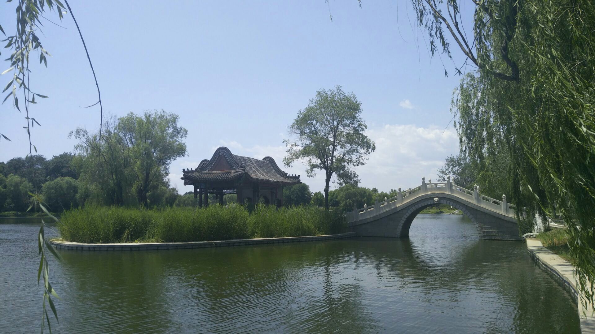 湟中莲花湖公园的风景图片