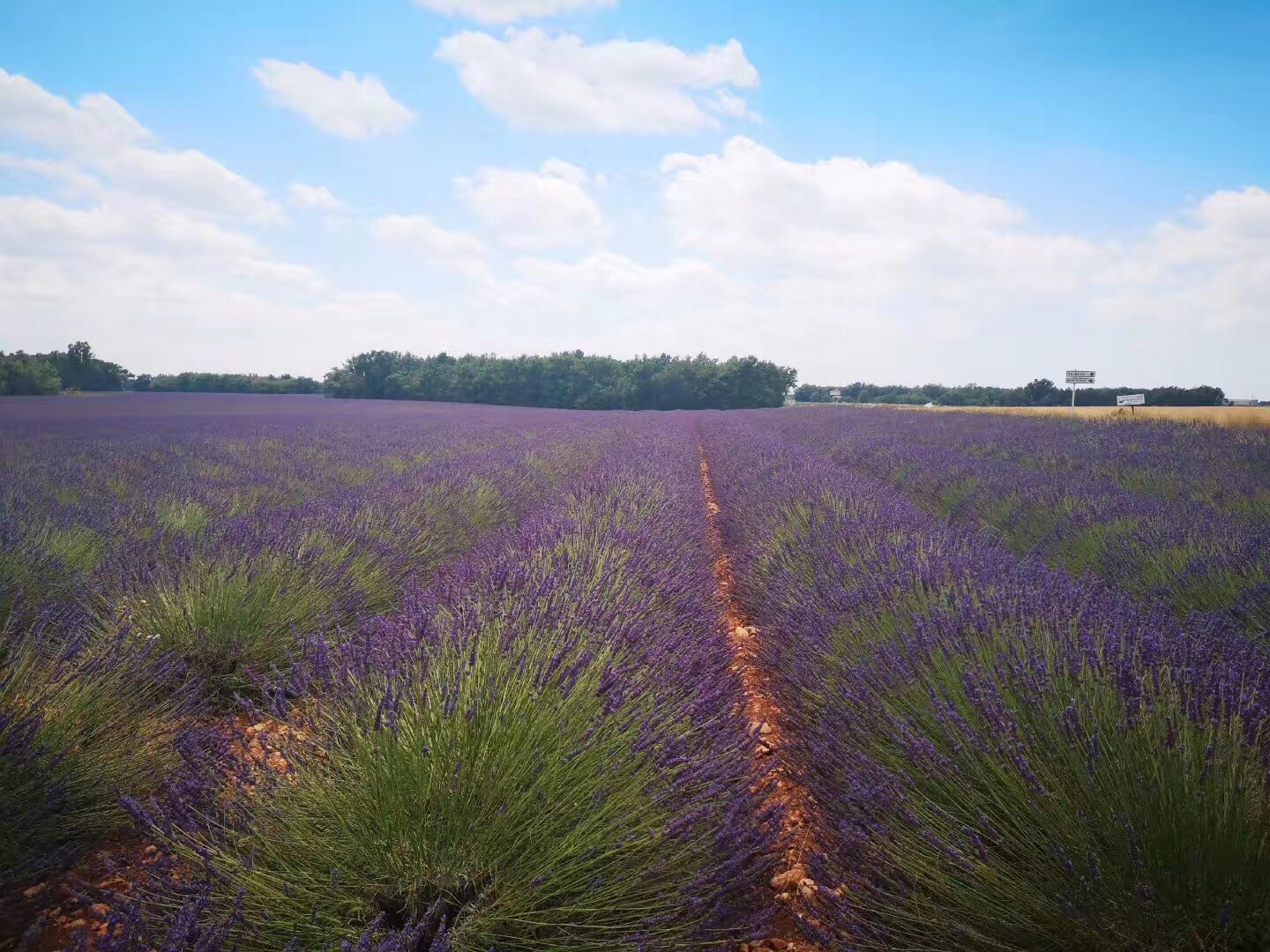 Conheça Provence - Um roteiro incrível por essa região deslumbrante ...